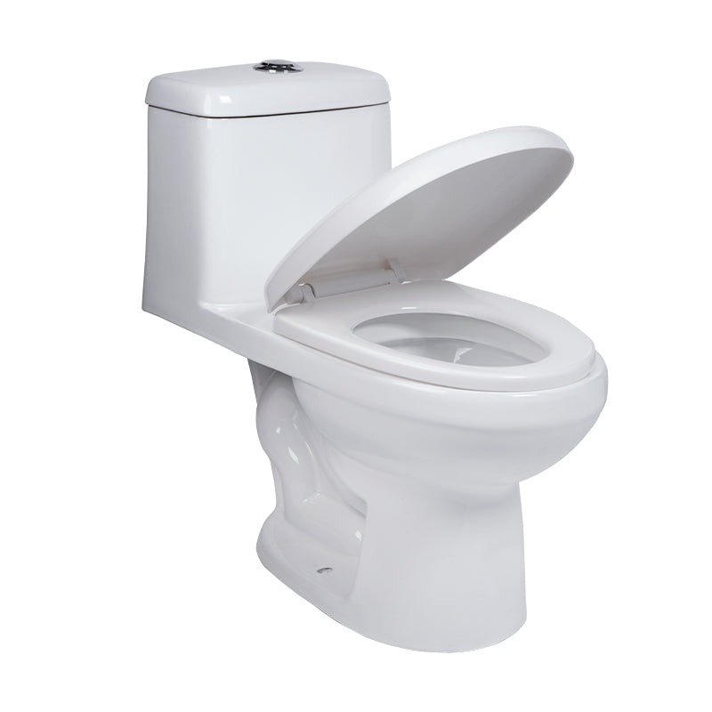 DICA ONE PIECE /NUEVO MODELO / WC.4007.01