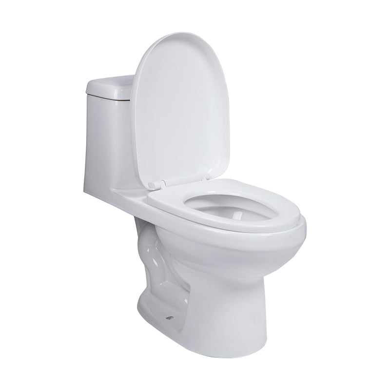 DICA ONE PIECE /NUEVO MODELO / WC.4007.01