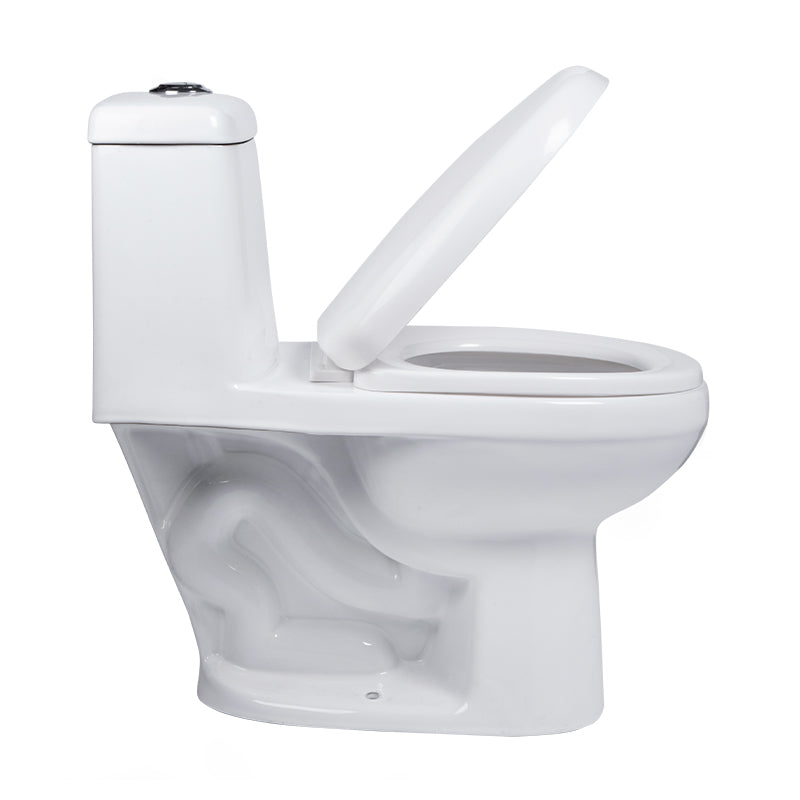 DICA ONE PIECE /NUEVO MODELO / WC.4007.01